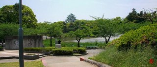 img_1475869_47723900_8.jpg